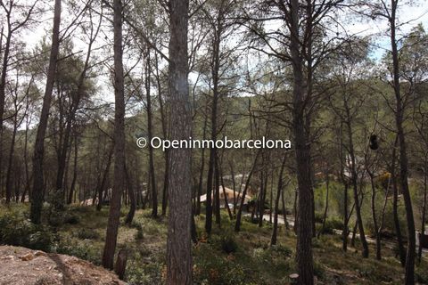 Helårsgrund i Olivella, Barcelona, Olivella - € 56.000 | Ref: OI01480/5763 - foto 11