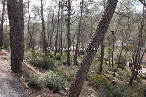 Helårsgrund i Olivella, Barcelona, Olivella - € 56.000 | Ref: OI01480/5763 - foto 12