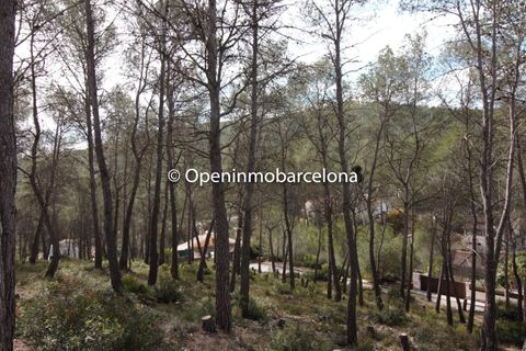 Helårsgrund i Olivella, Barcelona, Olivella - € 56.000 | Ref: OI01480/5763 - foto 13