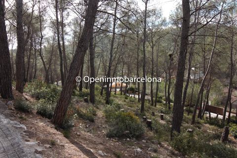 Helårsgrund i Olivella, Barcelona, Olivella - € 56.000 | Ref: OI01480/5763 - foto 15