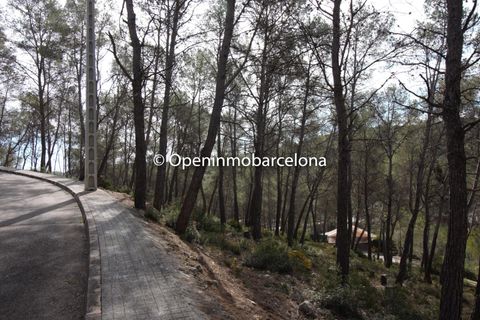 Helårsgrund i Olivella, Barcelona, Olivella - € 56.000 | Ref: OI01480/5763 - foto 16