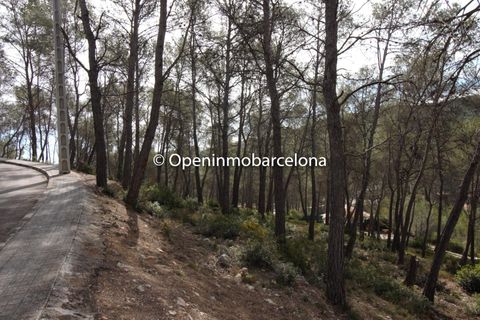 Helårsgrund i Olivella, Barcelona, Olivella - € 56.000 | Ref: OI01480/5763 - foto 17