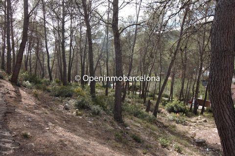 Helårsgrund i Olivella, Barcelona, Olivella - € 56.000 | Ref: OI01480/5763 - foto 18