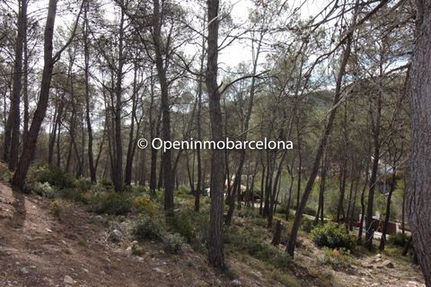 Helårsgrund i Olivella, Barcelona, Olivella - € 56.000 | Ref: OI01480/5763 - foto 19