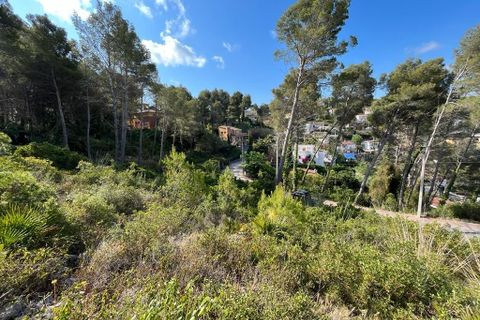 Helårsgrund i Olivella, Barcelona, Olivella - € 55.000 | Ref: OI01701/5763 - foto 5