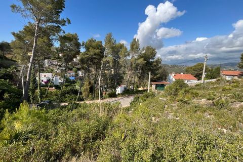 Helårsgrund i Olivella, Barcelona, Olivella - € 55.000 | Ref: OI01701/5763 - foto 6