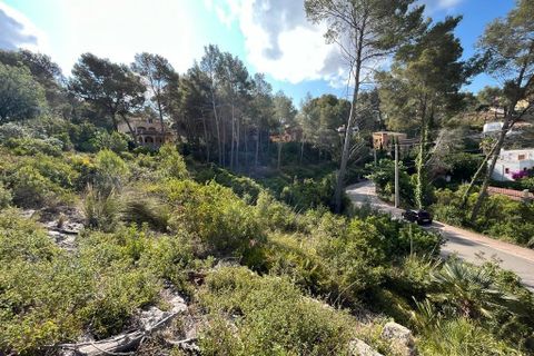 Helårsgrund i Olivella, Barcelona, Olivella - € 55.000 | Ref: OI01701/5763 - foto 9