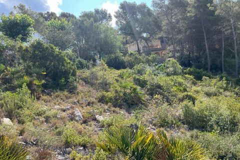 Helårsgrund i Olivella, Barcelona, Olivella - € 55.000 | Ref: OI01701/5763 - foto 11