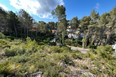 Helårsgrund i Olivella, Barcelona, Olivella - € 55.000 | Ref: OI01701/5763 - foto 12