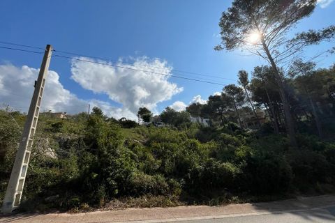 Helårsgrund i Olivella, Barcelona, Olivella - € 55.000 | Ref: OI01701/5763 - foto 13