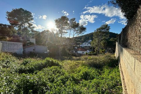 Terra a Olivella, Barcelona, Olivella - € 96.000 | Ref: OI01845/5763 - foto 3