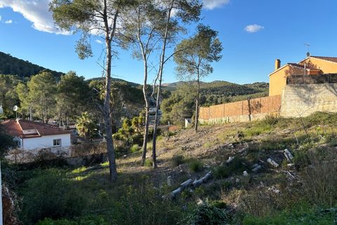 Terra a Olivella, Barcelona, Olivella - € 96.000 | Ref: OI01845/5763 - foto 11