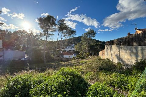 Terra a Olivella, Barcelona, Olivella - € 96.000 | Ref: OI01845/5763 - foto 12