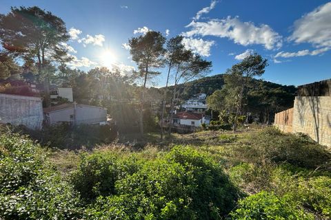 Terra a Olivella, Barcelona, Olivella - € 96.000 | Ref: OI01845/5763 - foto 13