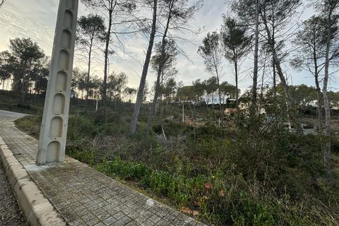 Terra a Olivella, Barcelona, Olivella - € 85.000 | Ref: OI01931/5763 - foto 1