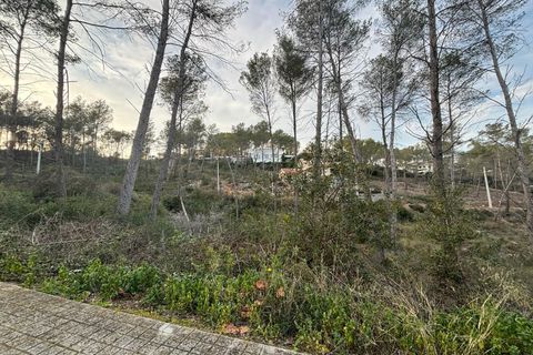 Terra a Olivella, Barcelona, Olivella - € 85.000 | Ref: OI01931/5763 - foto 2