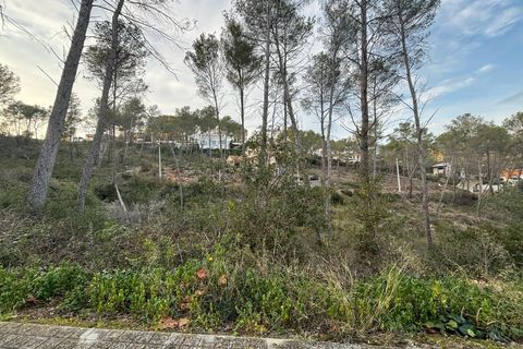 Terra a Olivella, Barcelona, Olivella - € 85.000 | Ref: OI01931/5763 - foto 3