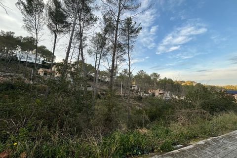 Terra a Olivella, Barcelona, Olivella - € 85.000 | Ref: OI01931/5763 - foto 5