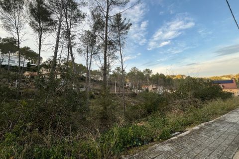Terra a Olivella, Barcelona, Olivella - € 85.000 | Ref: OI01931/5763 - foto 6
