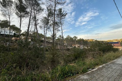 Terra a Olivella, Barcelona, Olivella - € 85.000 | Ref: OI01931/5763 - foto 8