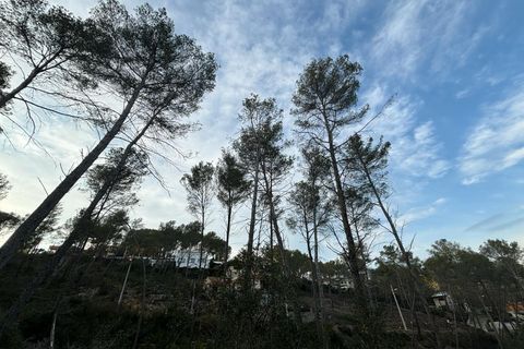 Terra a Olivella, Barcelona, Olivella - € 85.000 | Ref: OI01931/5763 - foto 9