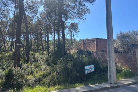 Terra a Olivella, Barcelona, Olivella - € 56.000 | Ref: OI01912/5763 - foto 3