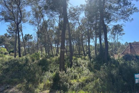 Terra a Olivella, Barcelona, Olivella - € 56.000 | Ref: OI01912/5763 - foto 8