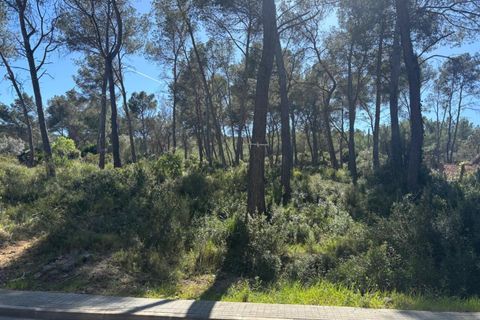 Terra a Olivella, Barcelona, Olivella - € 56.000 | Ref: OI01912/5763 - foto 9