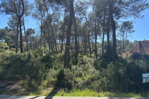 Terra a Olivella, Barcelona, Olivella - € 56.000 | Ref: OI01912/5763 - foto 10