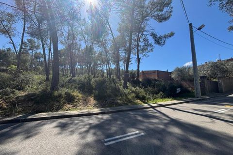 Terra a Olivella, Barcelona, Olivella - € 56.000 | Ref: OI01912/5763 - foto 12