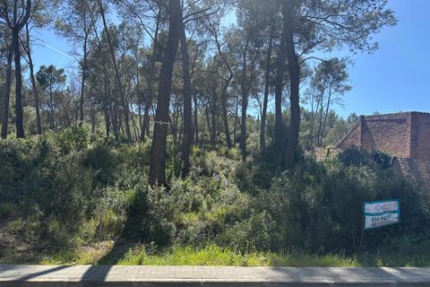 Terra a Olivella, Barcelona, Olivella - € 56.000 | Ref: OI01912/5763 - foto 13