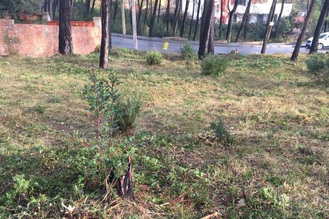 Terra a Olivella, Barcelona, Olivella - € 56.000 | Ref: OI01912/5763 - foto 14
