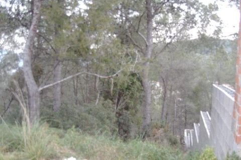 Terra a Canyelles, Barcelona, Canyelles - € 55.000 | Ref: OI01986/5763 - foto 6
