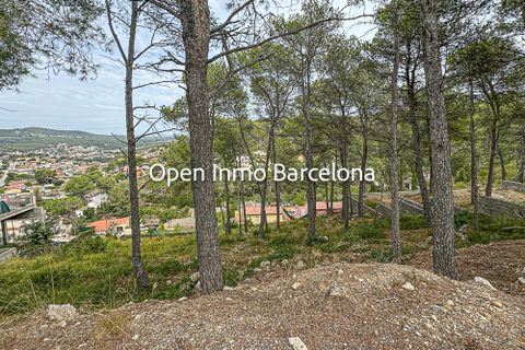 Terra a Canyelles, Barcelona, Canyelles - € 55.000 | Ref: OI01986/5763 - foto 17