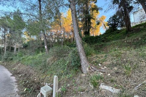 Terra a Olivella, Barcelona, Olivella - € 70.000 | Ref: OI02019/5763 - foto 2