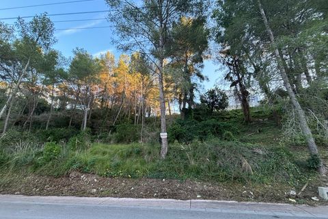 Terra a Olivella, Barcelona, Olivella - € 70.000 | Ref: OI02019/5763 - foto 3