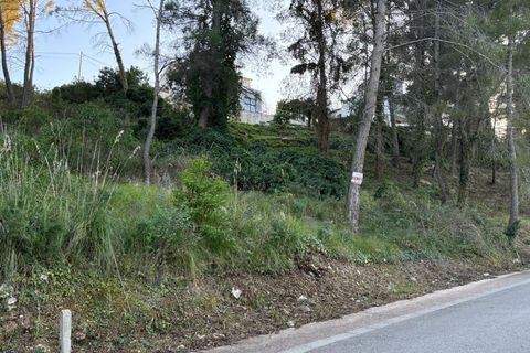 Terra a Olivella, Barcelona, Olivella - € 70.000 | Ref: OI02019/5763 - foto 5