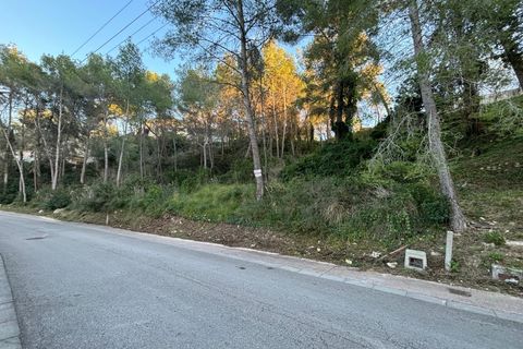 Terra a Olivella, Barcelona, Olivella - € 70.000 | Ref: OI02019/5763 - foto 9