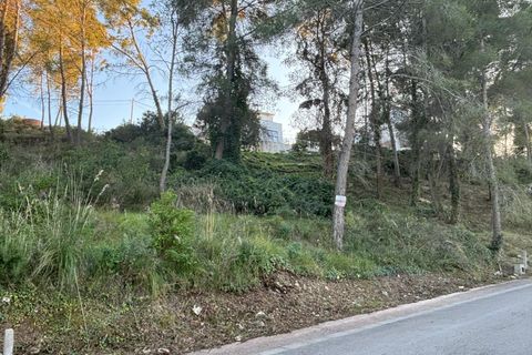 Terra a Olivella, Barcelona, Olivella - € 70.000 | Ref: OI02019/5763 - foto 11
