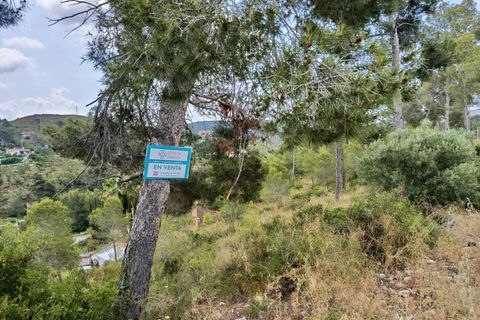 Terra a Olivella, Barcelona, Olivella - € 44.000 | Ref: OI02059/5763 - foto 4