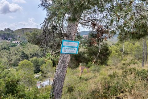 Terra a Olivella, Barcelona, Olivella - € 44.000 | Ref: OI02059/5763 - foto 5
