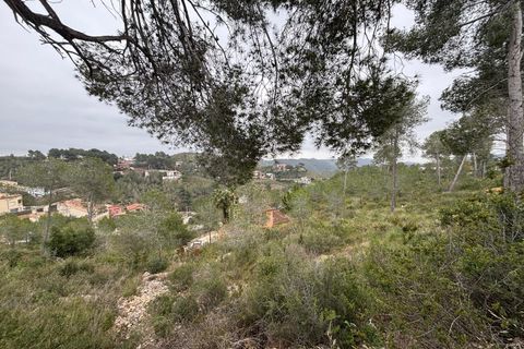 Terra a Olivella, Barcelona, Olivella - € 44.000 | Ref: OI02059/5763 - foto 9