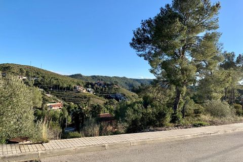 Terra a Olivella, Barcelona, Olivella - € 44.000 | Ref: OI02059/5763 - foto 11