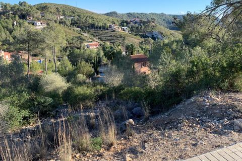 Terra a Olivella, Barcelona, Olivella - € 44.000 | Ref: OI02059/5763 - foto 13