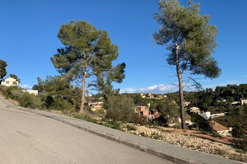 Terra a Olivella, Barcelona, Olivella - € 44.000 | Ref: OI02059/5763 - foto 16
