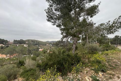Terra a Olivella, Barcelona, Olivella - € 44.000 | Ref: OI02059/5763 - foto 17