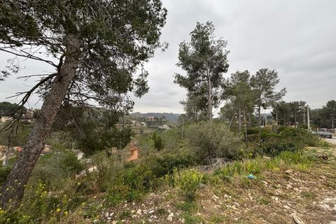 Terra a Olivella, Barcelona, Olivella - € 44.000 | Ref: OI02059/5763 - foto 21