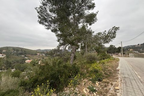 Terra a Olivella, Barcelona, Olivella - € 44.000 | Ref: OI02059/5763 - foto 24