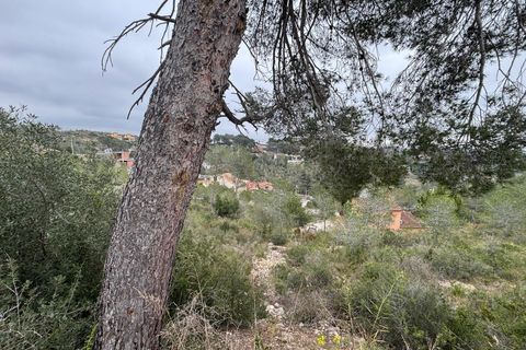 Terra a Olivella, Barcelona, Olivella - € 44.000 | Ref: OI02059/5763 - foto 26