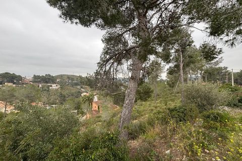 Terra a Olivella, Barcelona, Olivella - € 44.000 | Ref: OI02059/5763 - foto 27